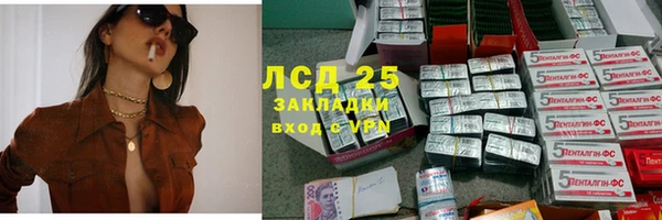 шишки Надым