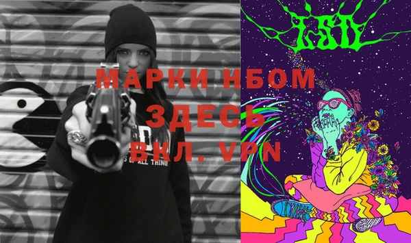 шишки Надым