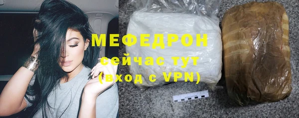 шишки Надым