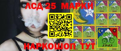 шишки Гусиноозёрск