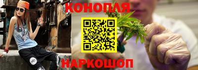 шишки Гусиноозёрск