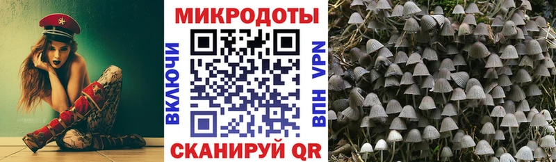 купить наркотик  Зеленогорск  Псилоцибиновые грибы MAGIC MUSHROOMS 