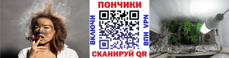 Бошки марихуана Ganja сколько стоит Зеленогорск