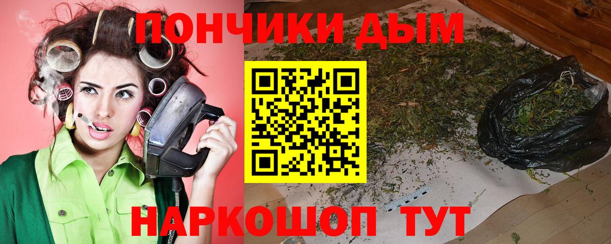 Бошки марихуана гибрид  Зеленогорск  Шишки марихуана ГИДРОПОН 