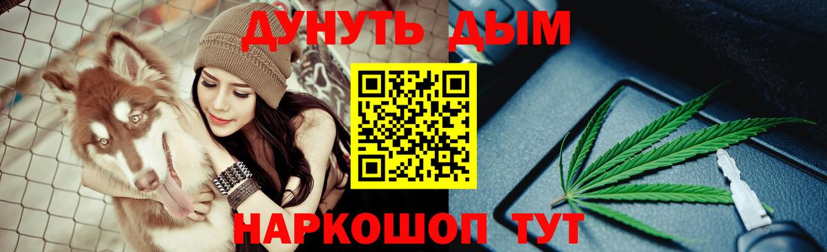 Канабис сатива Зеленогорск